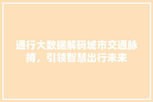 通行大数据解码城市交通脉搏，引领智慧出行未来