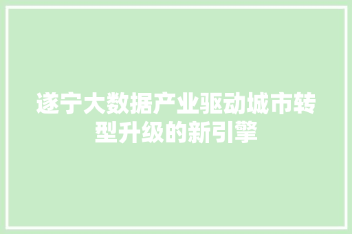 遂宁大数据产业驱动城市转型升级的新引擎