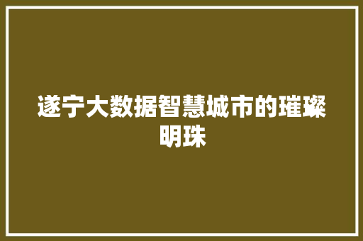 遂宁大数据智慧城市的璀璨明珠