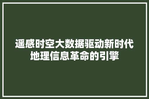 遥感时空大数据驱动新时代地理信息革命的引擎