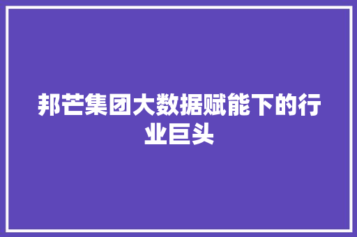 邦芒集团大数据赋能下的行业巨头