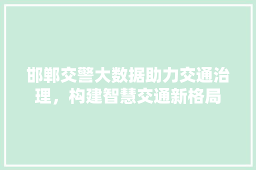 邯郸交警大数据助力交通治理，构建智慧交通新格局