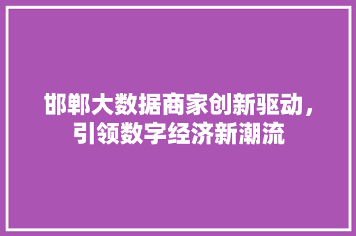邯郸大数据商家创新驱动，引领数字经济新潮流