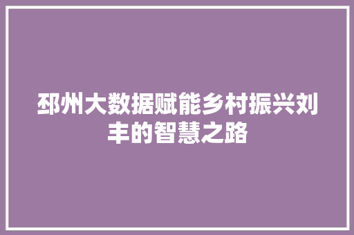 邳州大数据赋能乡村振兴刘丰的智慧之路