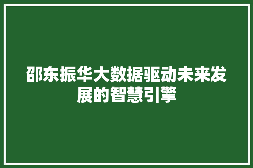 邵东振华大数据驱动未来发展的智慧引擎 网络技术
