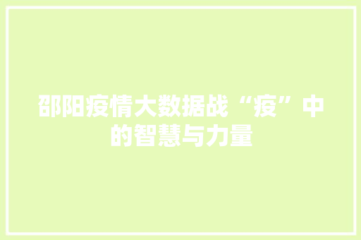 邵阳疫情大数据战“疫”中的智慧与力量
