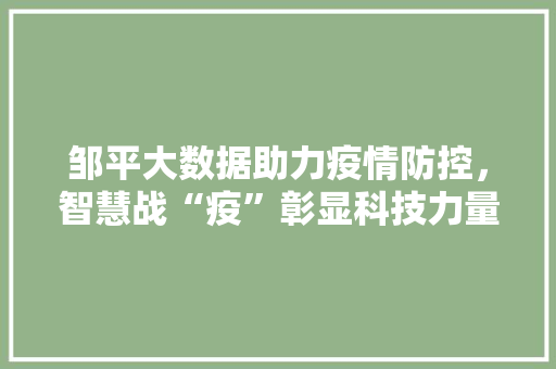 邹平大数据助力疫情防控，智慧战“疫”彰显科技力量