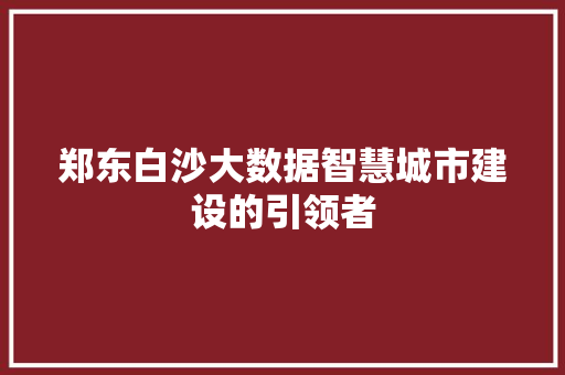郑东白沙大数据智慧城市建设的引领者
