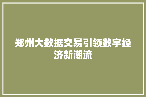 郑州大数据交易引领数字经济新潮流