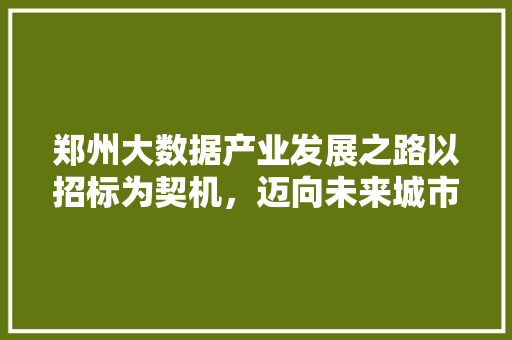 郑州大数据产业发展之路以招标为契机，迈向未来城市新标杆