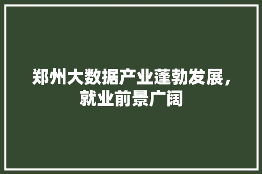 郑州大数据产业蓬勃发展，就业前景广阔