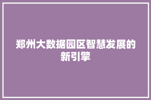 郑州大数据园区智慧发展的新引擎
