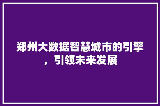 郑州大数据智慧城市的引擎，引领未来发展 电脑基础