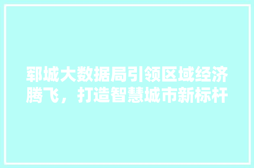 郓城大数据局引领区域经济腾飞，打造智慧城市新标杆 电脑基础