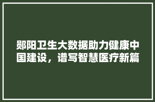 郧阳卫生大数据助力健康中国建设，谱写智慧医疗新篇章