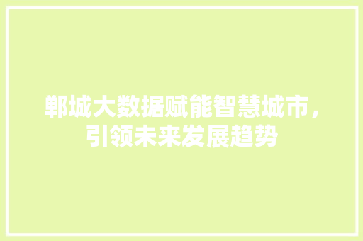郸城大数据赋能智慧城市，引领未来发展趋势