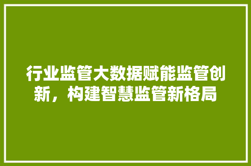 行业监管大数据赋能监管创新，构建智慧监管新格局
