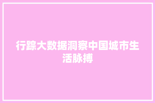 行踪大数据洞察中国城市生活脉搏