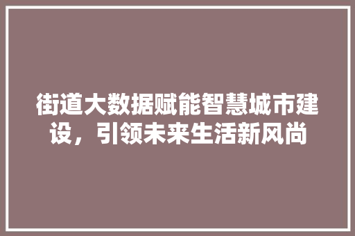 街道大数据赋能智慧城市建设，引领未来生活新风尚