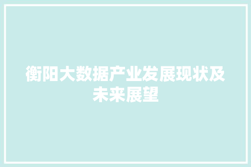 衡阳大数据产业发展现状及未来展望