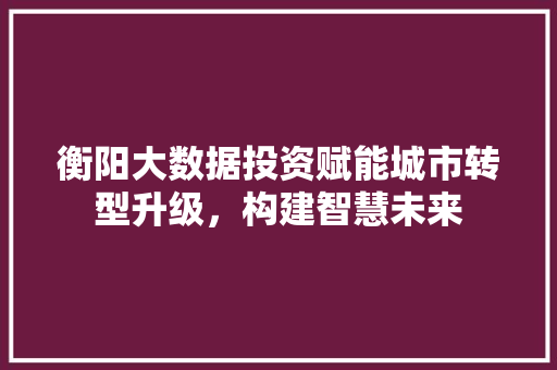 衡阳大数据投资赋能城市转型升级，构建智慧未来