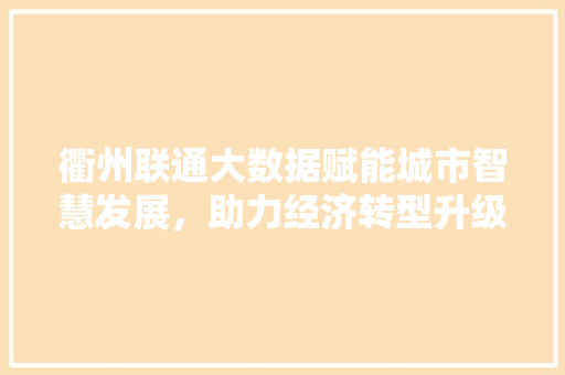 衢州联通大数据赋能城市智慧发展，助力经济转型升级