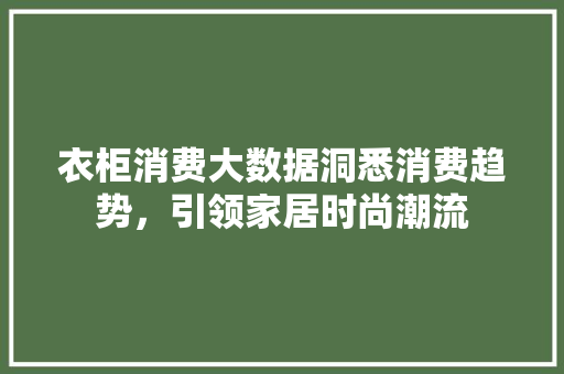 衣柜消费大数据洞悉消费趋势，引领家居时尚潮流