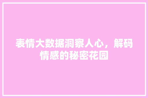 表情大数据洞察人心，解码情感的秘密花园