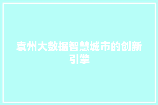 袁州大数据智慧城市的创新引擎