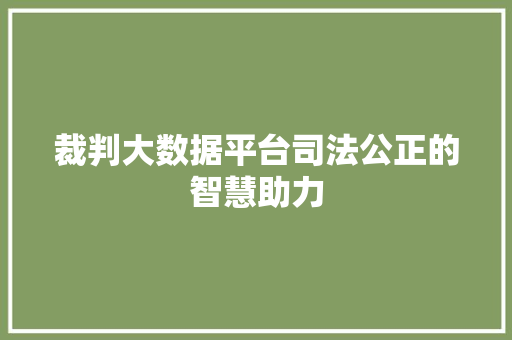 裁判大数据平台司法公正的智慧助力