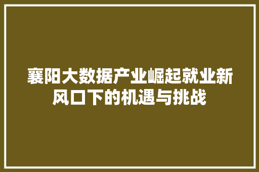 襄阳大数据产业崛起就业新风口下的机遇与挑战 操作系统