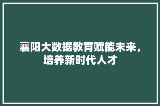 襄阳大数据教育赋能未来，培养新时代人才