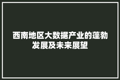 西南地区大数据产业的蓬勃发展及未来展望