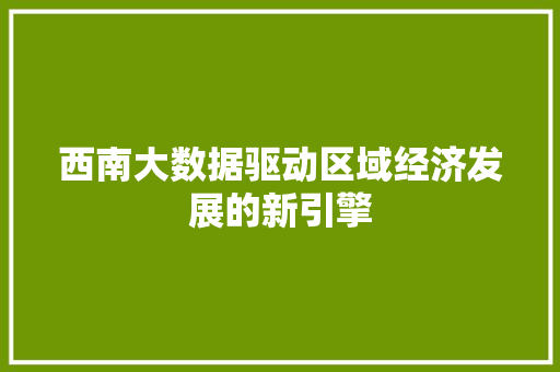 西南大数据驱动区域经济发展的新引擎 西南大数据驱动区域经济发展的新引擎
