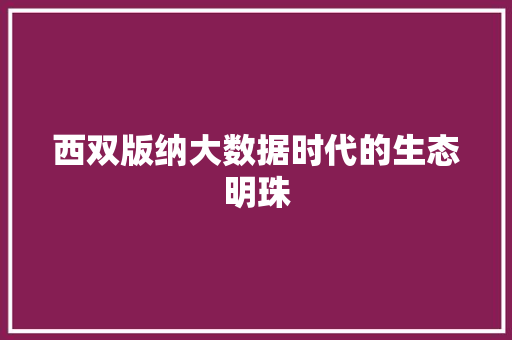 西双版纳大数据时代的生态明珠 西双版纳大数据时代的生态明珠