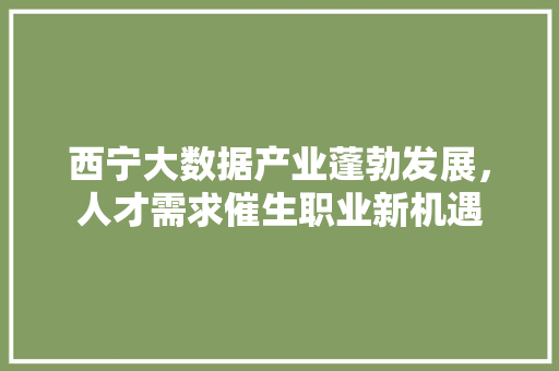 西宁大数据产业蓬勃发展,人才需求催生职业新机遇 西宁大数据产业蓬勃发展,人才需求催生职业新机遇