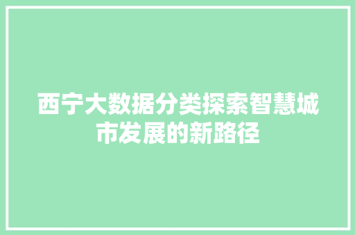 西宁大数据分类探索智慧城市发展的新路径 西宁大数据分类探索智慧城市发展的新路径