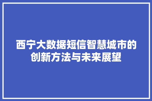西宁大数据短信智慧城市的创新方法与未来展望 西宁大数据短信智慧城市的创新方法与未来展望
