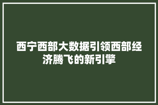 西宁西部大数据引领西部经济腾飞的新引擎 西宁西部大数据引领西部经济腾飞的新引擎