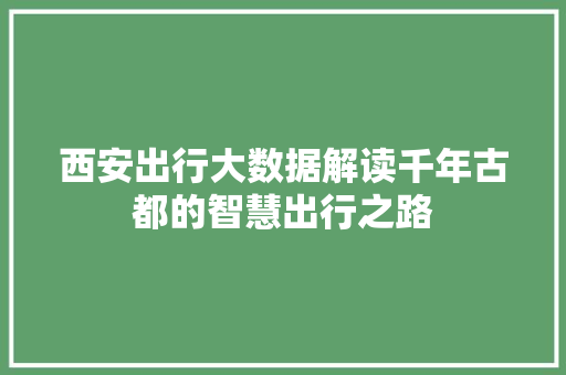 西安出行大数据解读千年古都的智慧出行之路