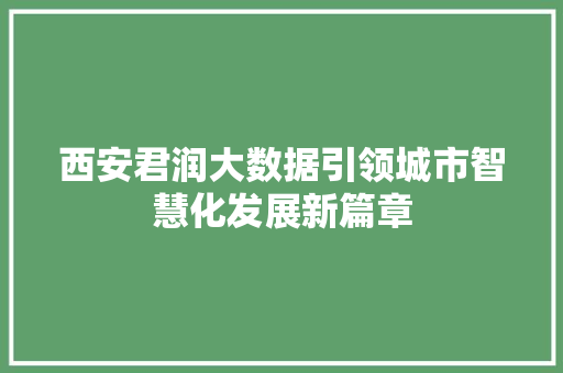 西安君润大数据引领城市智慧化发展新篇章
