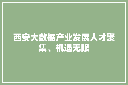 西安大数据产业发展人才聚集、机遇无限