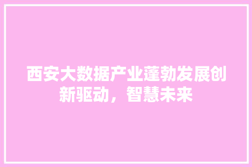 西安大数据产业蓬勃发展创新驱动，智慧未来