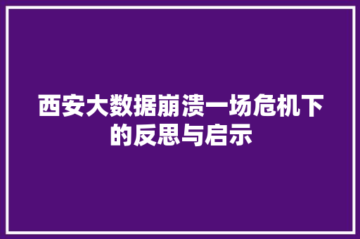 西安大数据崩溃一场危机下的反思与启示
