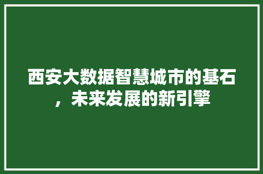 西安大数据智慧城市的基石，未来发展的新引擎