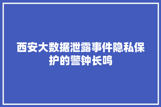 西安大数据泄露事件隐私保护的警钟长鸣