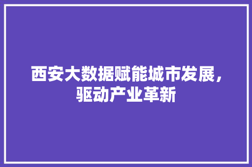 西安大数据赋能城市发展，驱动产业革新