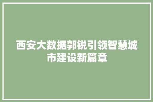 西安大数据郭锐引领智慧城市建设新篇章