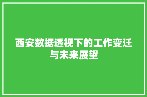 西安数据透视下的工作变迁与未来展望