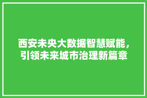 西安未央大数据智慧赋能，引领未来城市治理新篇章